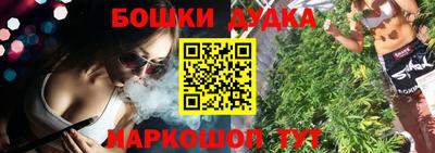 СК Обь