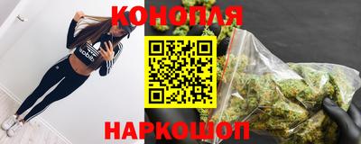 СК Обь