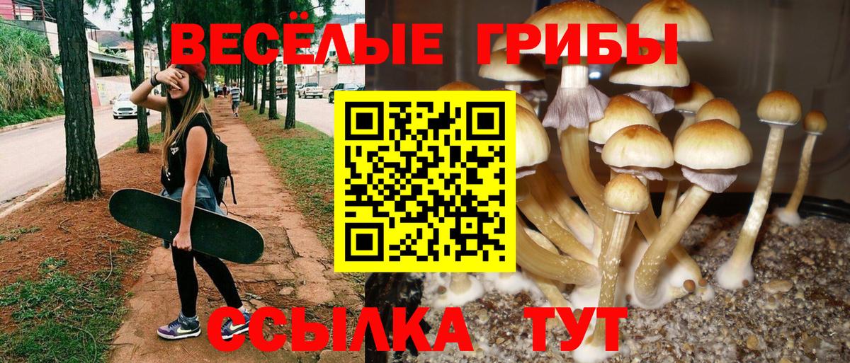 Псилоцибиновые грибы прущие грибы  Вход с VPN  Отрадный  цены наркотик  Галлюциногенные грибы GOLDEN TEACHER 