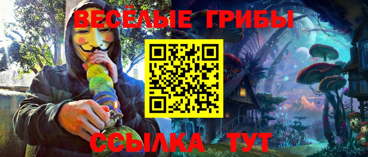 Галлюциногенные грибы Psilocybine cubensis Отрадный